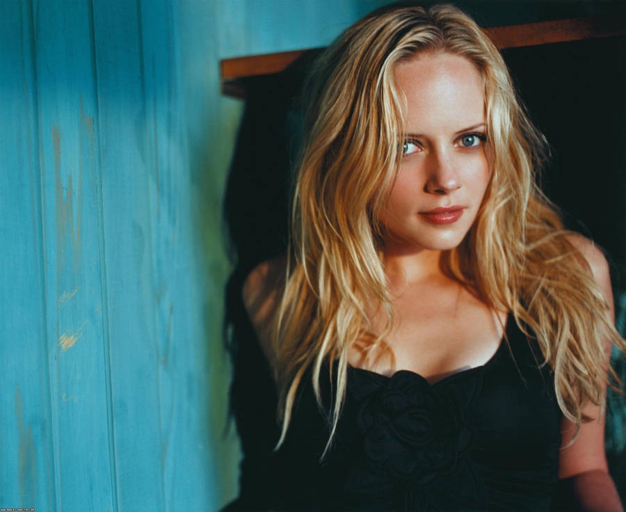 Marley Shelton Bilder