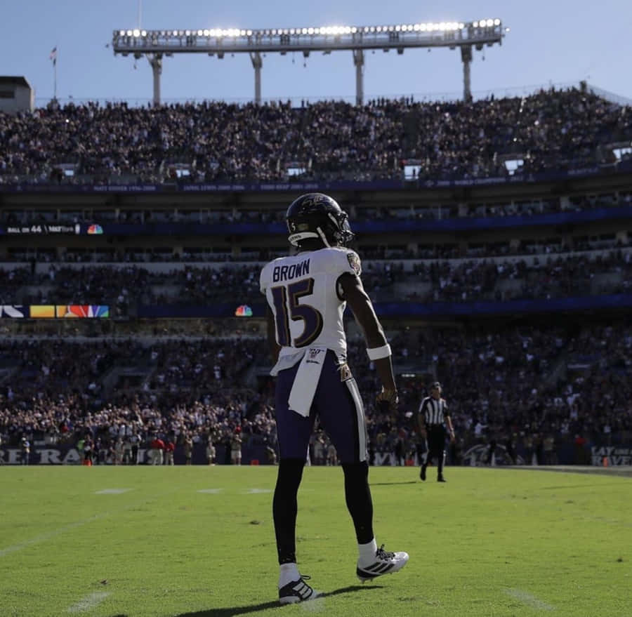 Marquise Brown Fond d'écran