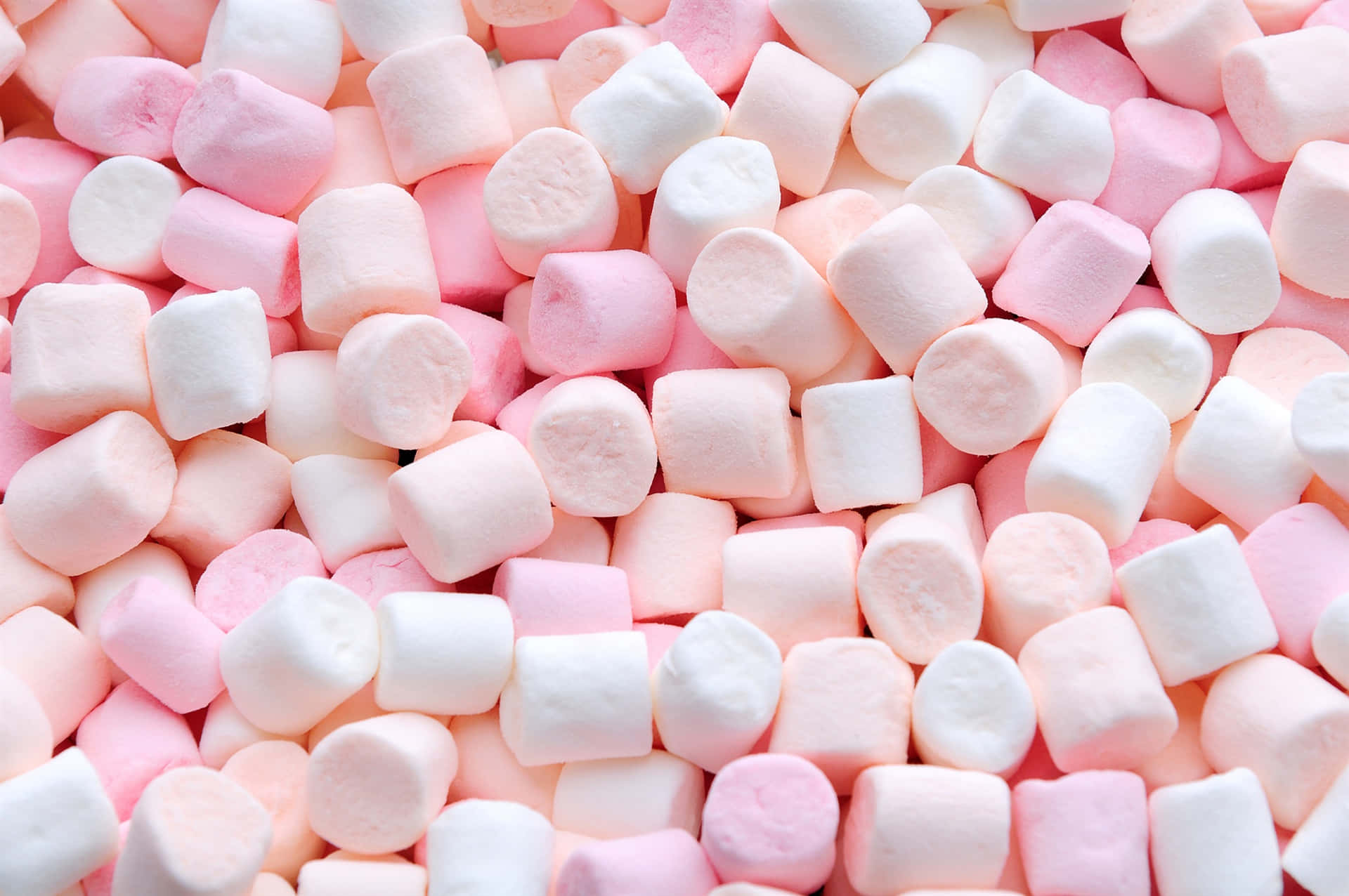Marshmallow Pictures Wallpaper