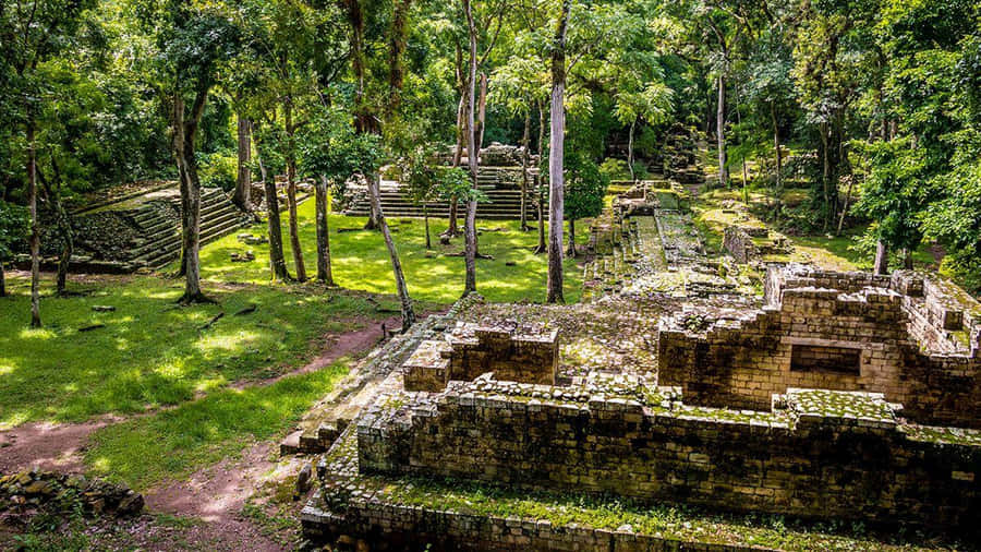 Mayan Ruins Of Copan Wallpaper