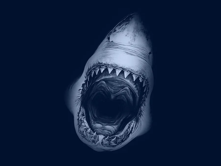 Megalodon Pictures