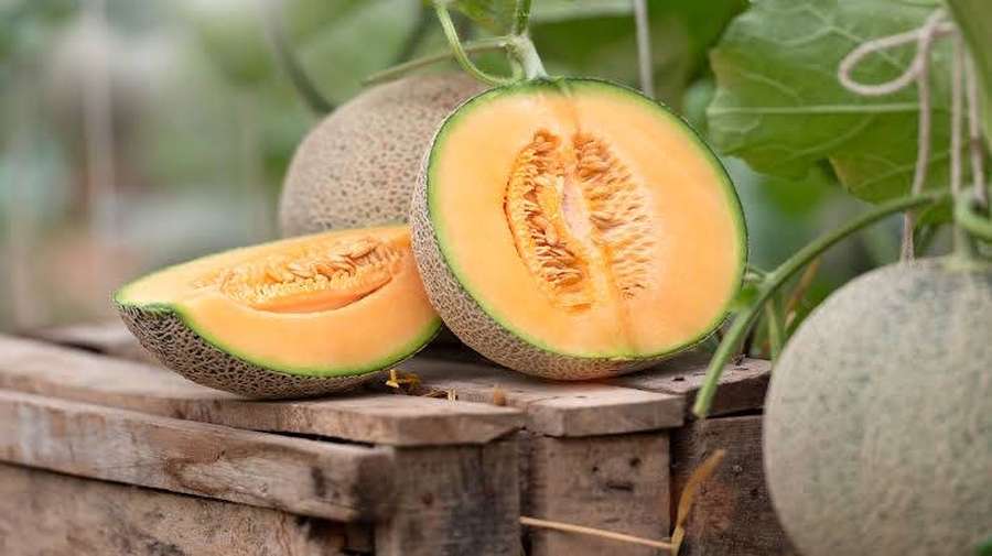 Melão cantalupo recém-cortado em caixa de madeira com melões inteiros e folhas verdes. — Melão Papéis de Parede