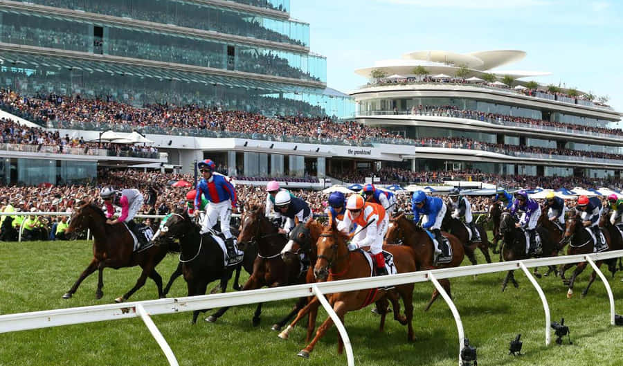Melbourne Cup Day Wallpaper