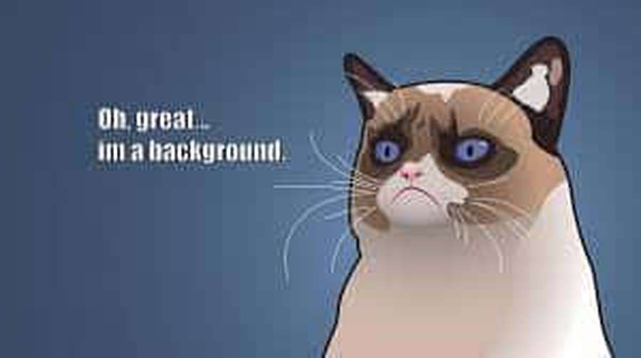 A grumpy cartoon cat with blue eyes and white whiskers looks displeased. — Meme Desktop Wallpaper