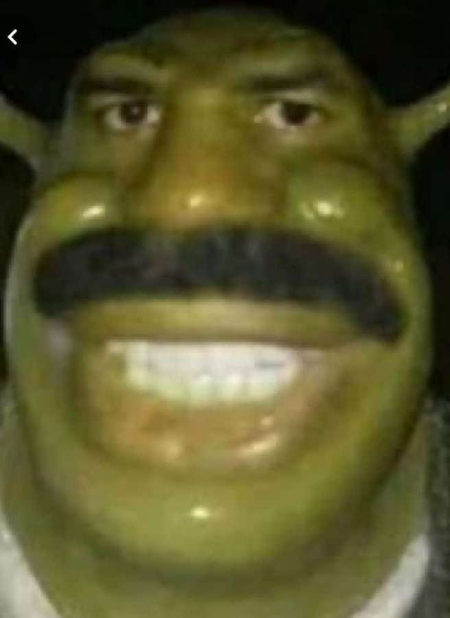 Shrek lächelt mit seinem charakteristischen Schnurrbart und grüner Haut. — Meme profilbild Bild Bilder