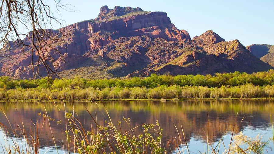 Mesa Amerika Serikat Wallpaper