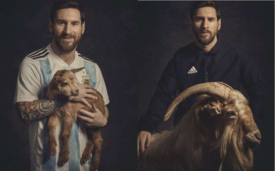 Lionel Messi in two poses with goats one holding a kid the other beside an adult goat. — Messi Goat Wallpaper
