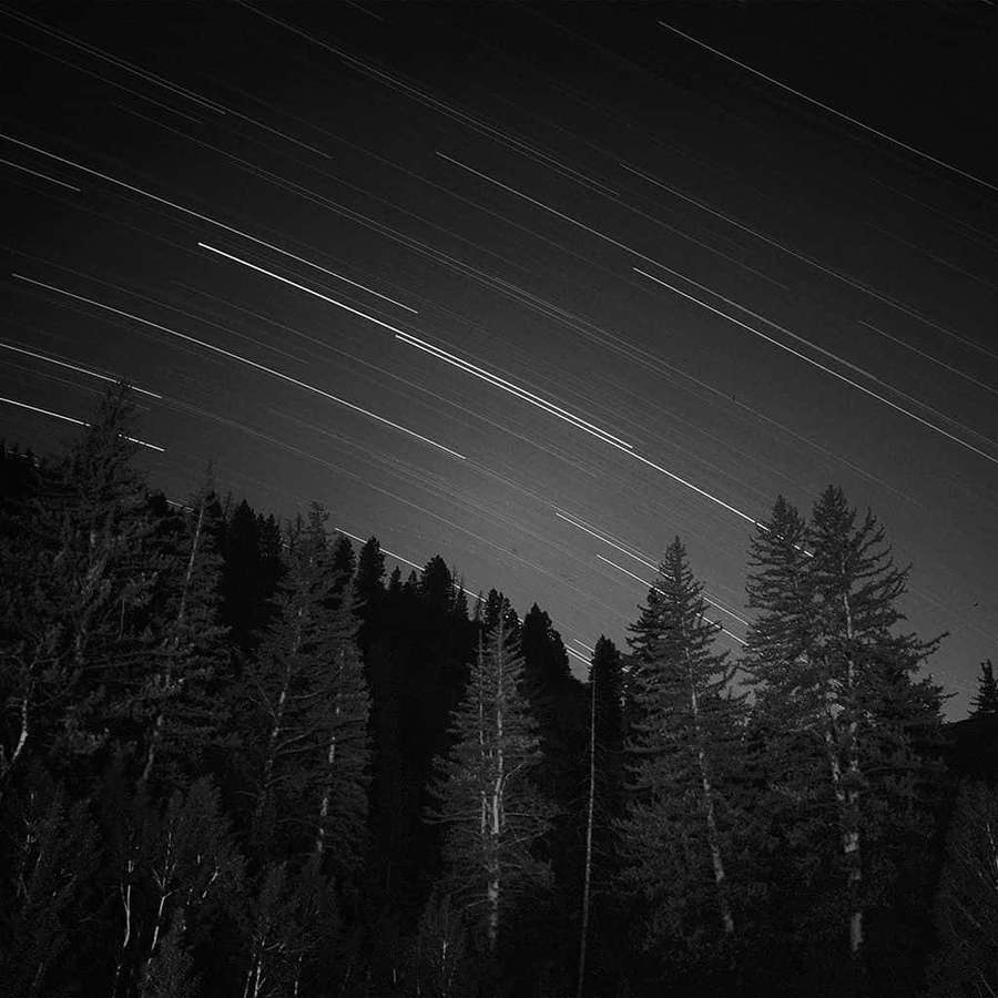 Star trails over a pine forest at night in black and white — Meteor Background