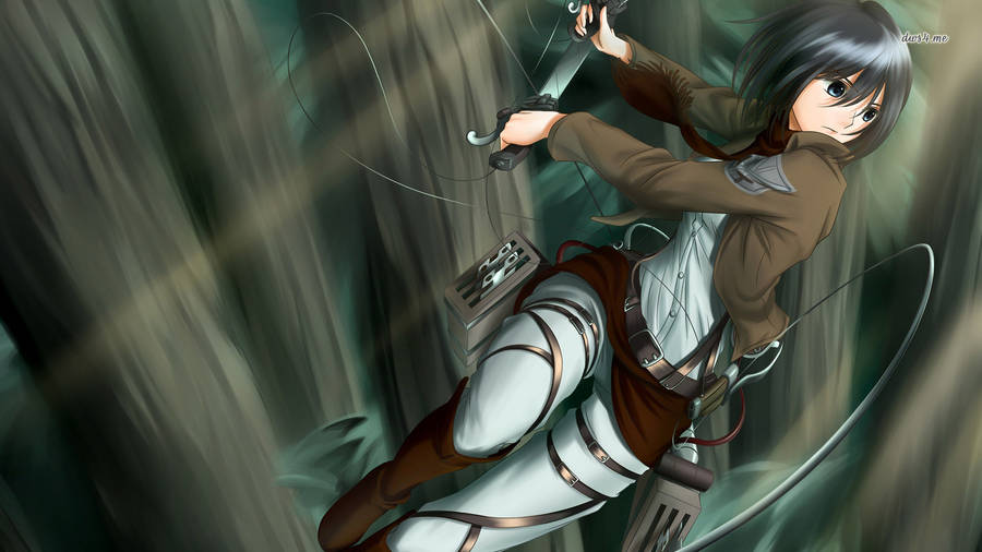 Mikasa Ackerman: Hintergrundbilder
