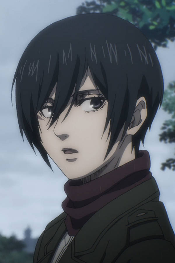 Mikasa Ackermann Sfondo