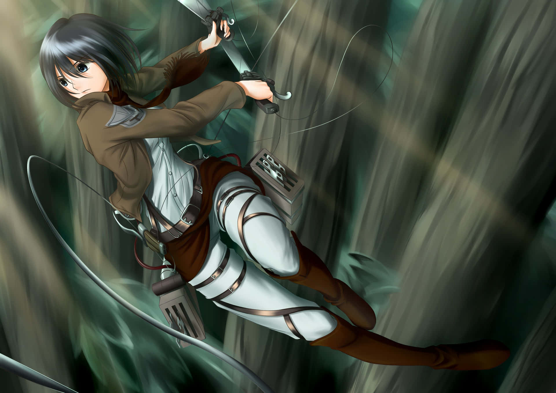 Mikasa Pfp Achtergrond