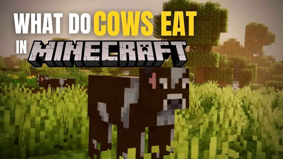 Pixelated cow in Minecraft grass field with game title text. — Minecraft Cow Wallpaper