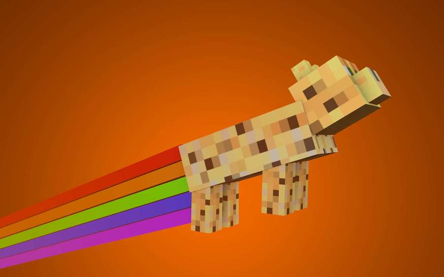 Un cerdo de Minecraft con un rastro de arcoíris volando contra un fondo naranja. — Minecraft Ocelot Fondos de pantalla
