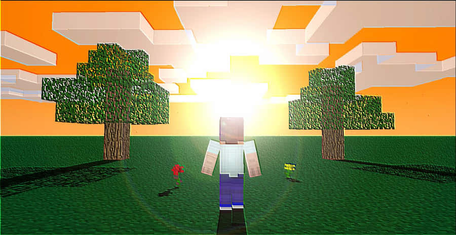 Minecraft Zonsondergang Achtergrond