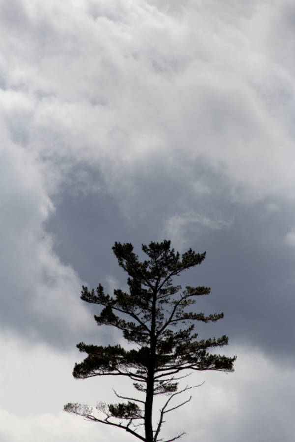 Minimal Mørk Iphone Bakgrunnsbildet