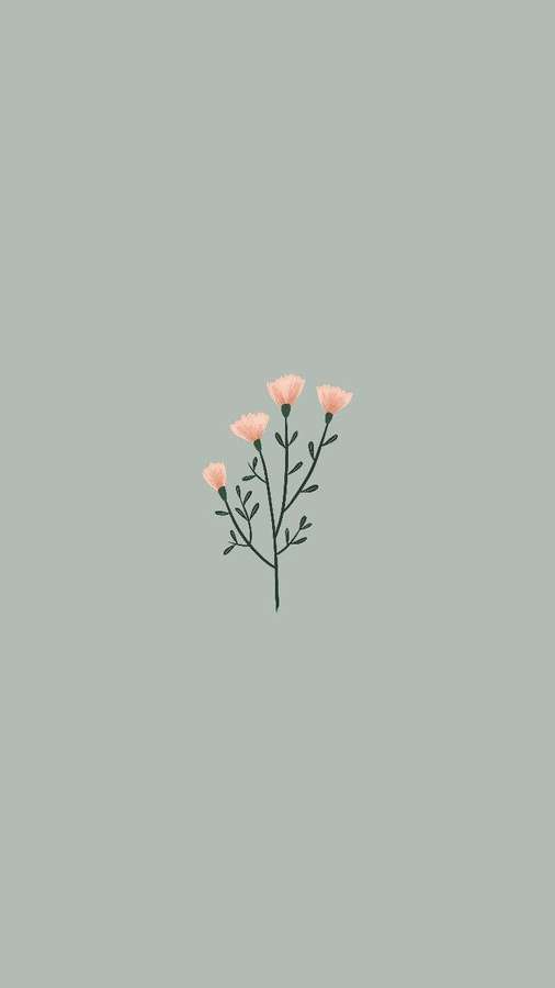 A simple pink flower illustration on a sage green background. — Minimalist Spring Wallpaper