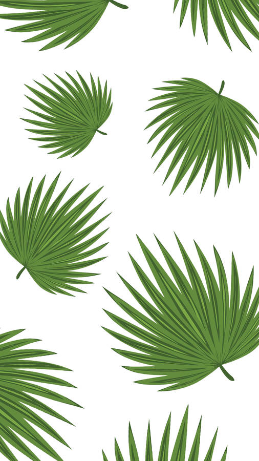 Minimalistisk Plante Wallpaper