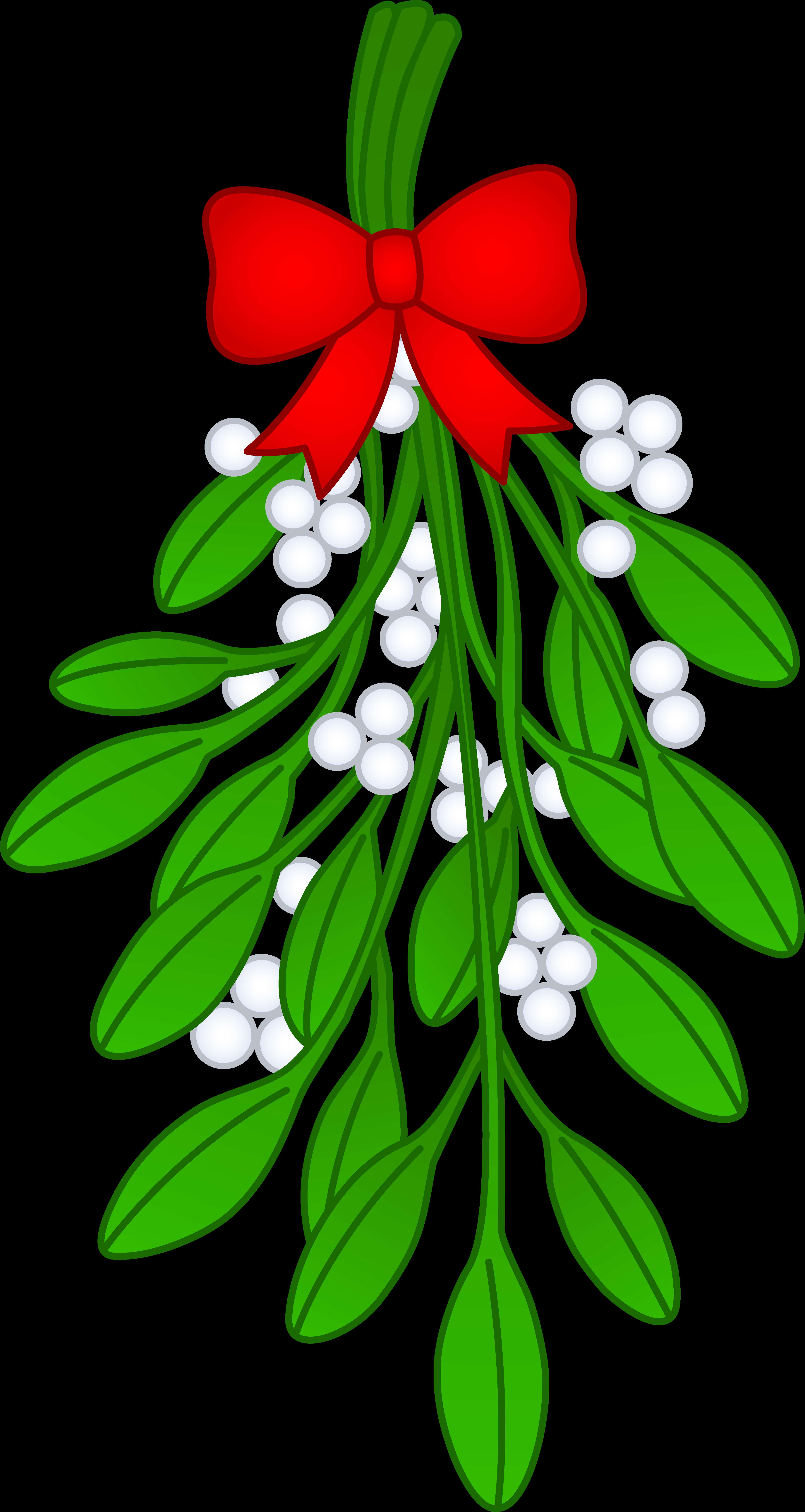 Mistletoe with white berries and red bow for holiday decoration. — Mistletoe PNG