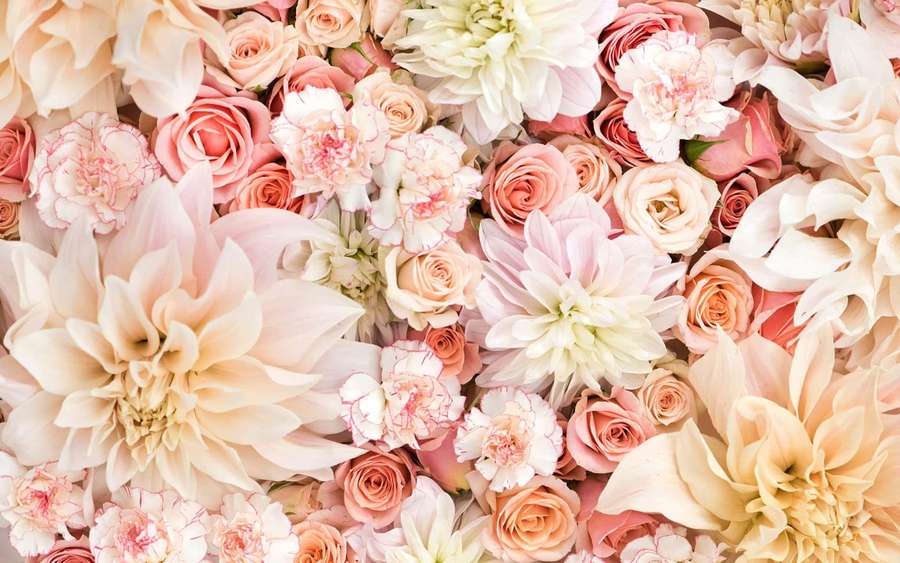 Ein dichtes Blumenarrangement aus pastellrosa, pfirsich- und cremefarbenen Rosen, Dahlien und Nelken. — Modern Floral Wallpaper