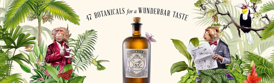 Two monkeys in suits reading and drinking in a tropical jungle with a gin bottle. — Monkey 47 Wallpaper