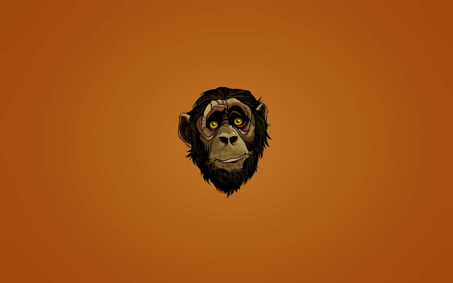 Monkey Background Wallpaper