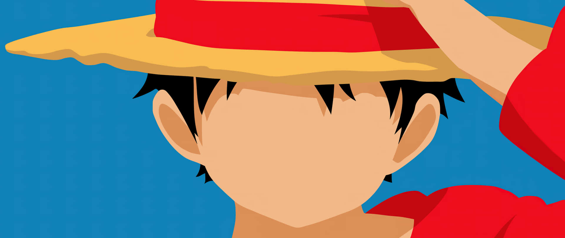 Monkey D Luffy Achtergrond