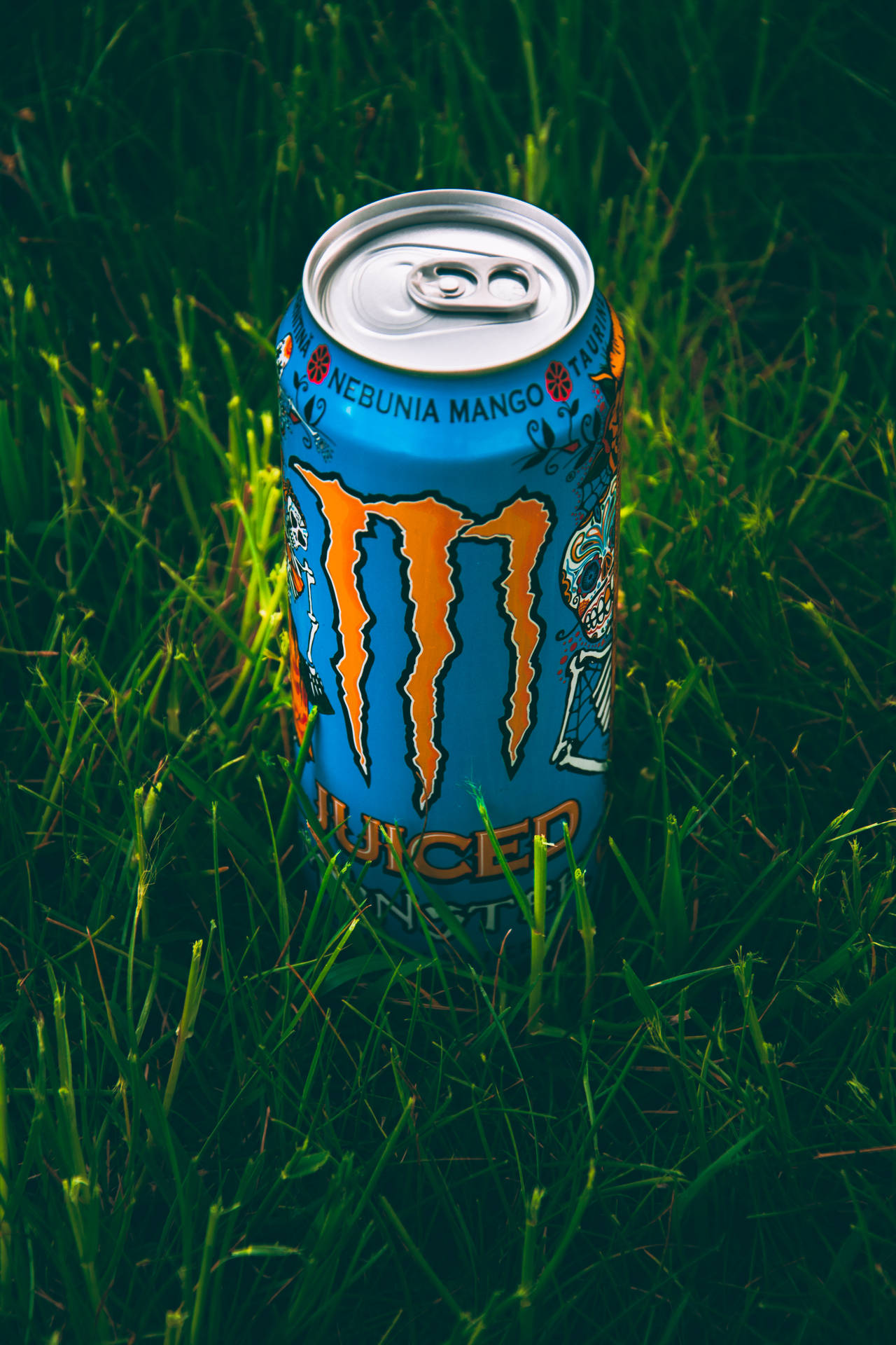 Monster Energy Bilder