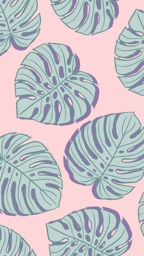 Trooppiset monstera-lehdet teal- ja violetin sävyissä vaaleanpunaisella taustalla. — Monstera Lehti Taustakuvat