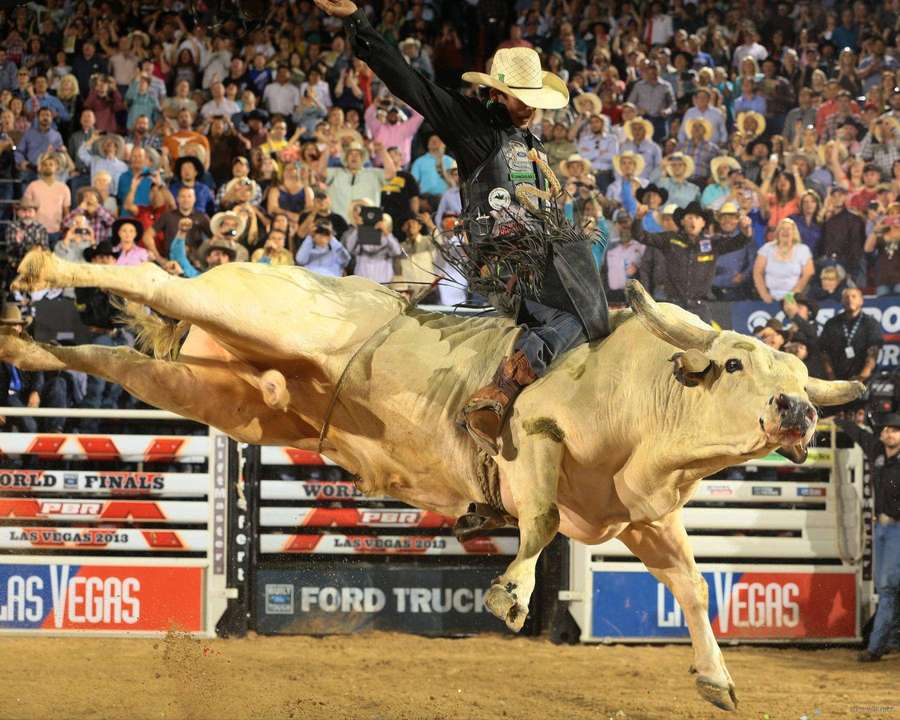 Vaquero montando toro encabritado en las Finales Mundiales de la PBR Las Vegas 2013 evento arena — Monta de toros Fondos de pantalla