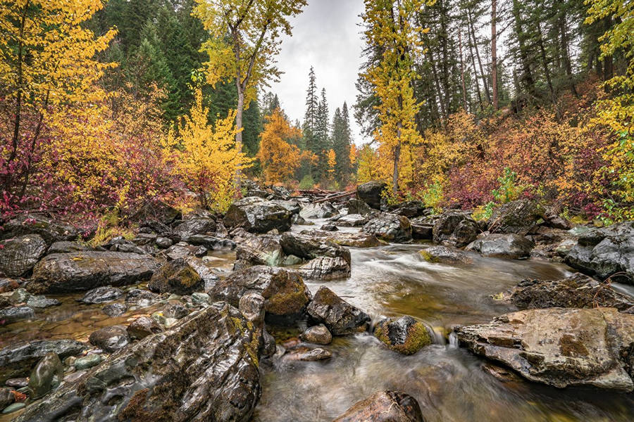 Montana Hintergrund