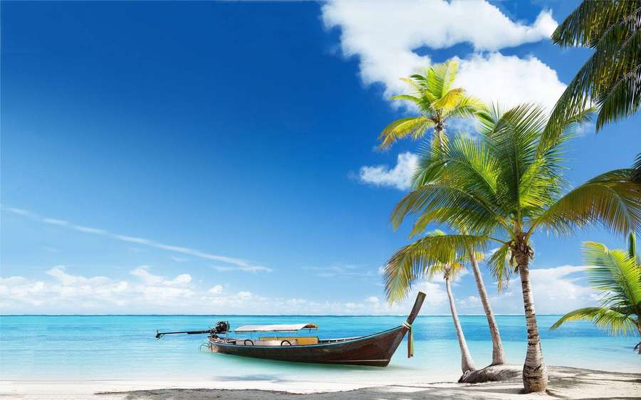 Un barco de madera en una playa tropical con palmeras y agua azul clara. — Montego Bay Fondos de pantalla