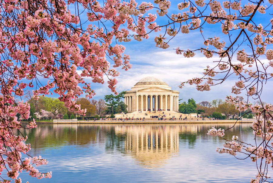 Monumento Jefferson Sfondo