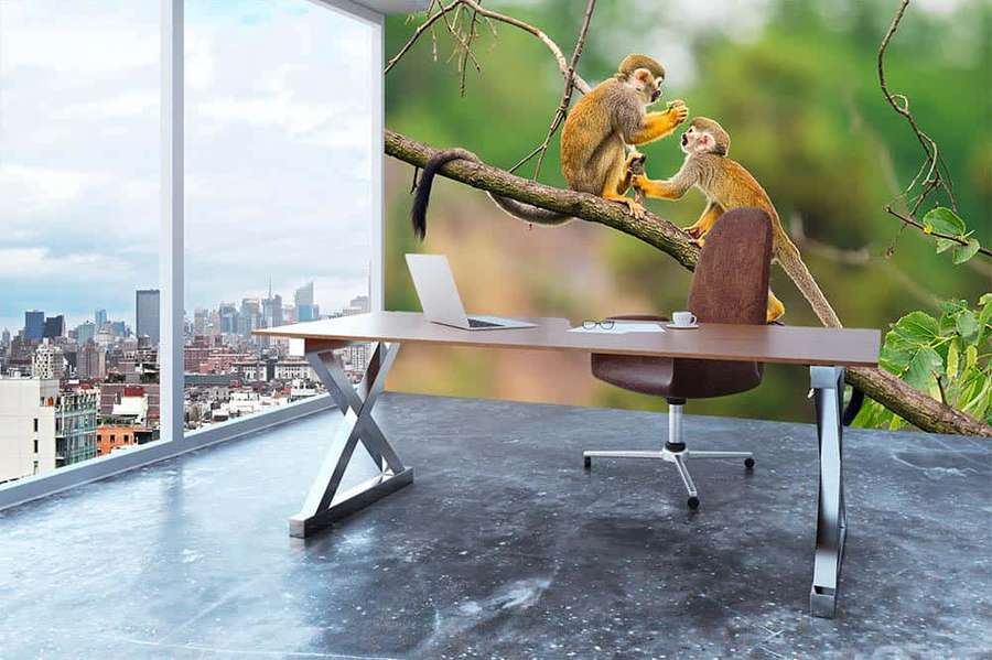 Dua monyet di dahan pohon di kantor modern yang menghadap ke kota. — Monyet Squirrel Wallpaper