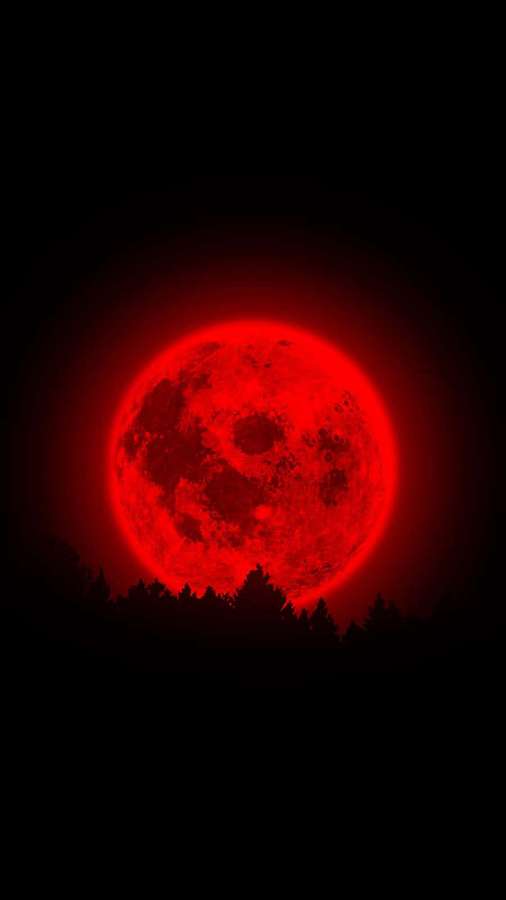 Ein blutroter Mond geht über einer dunklen Waldsilhouette in der Nacht auf. — Moon telefon Wallpaper