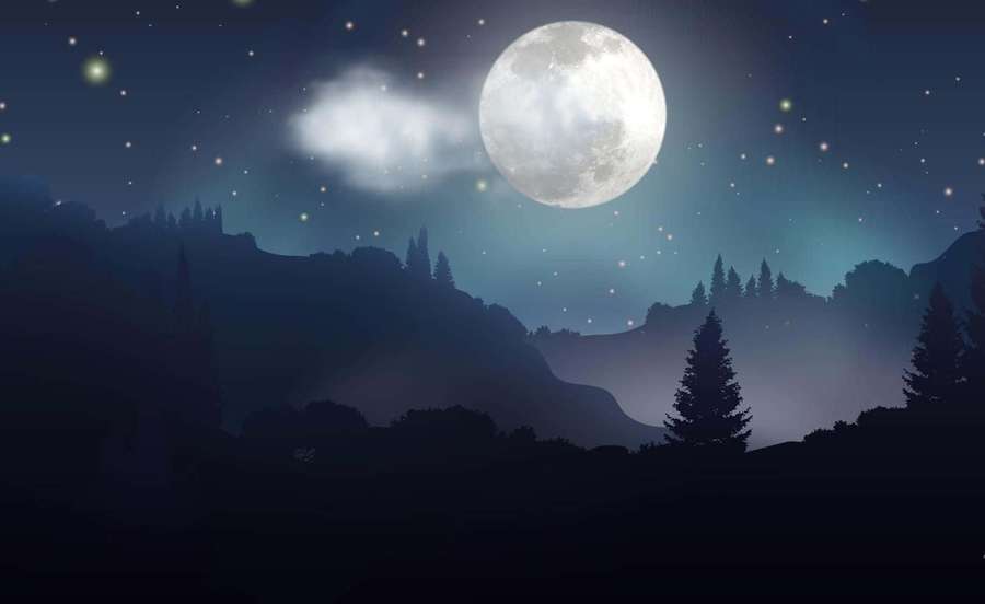 Moonlit mountains with pine trees under a starry sky. — Moonlight Background