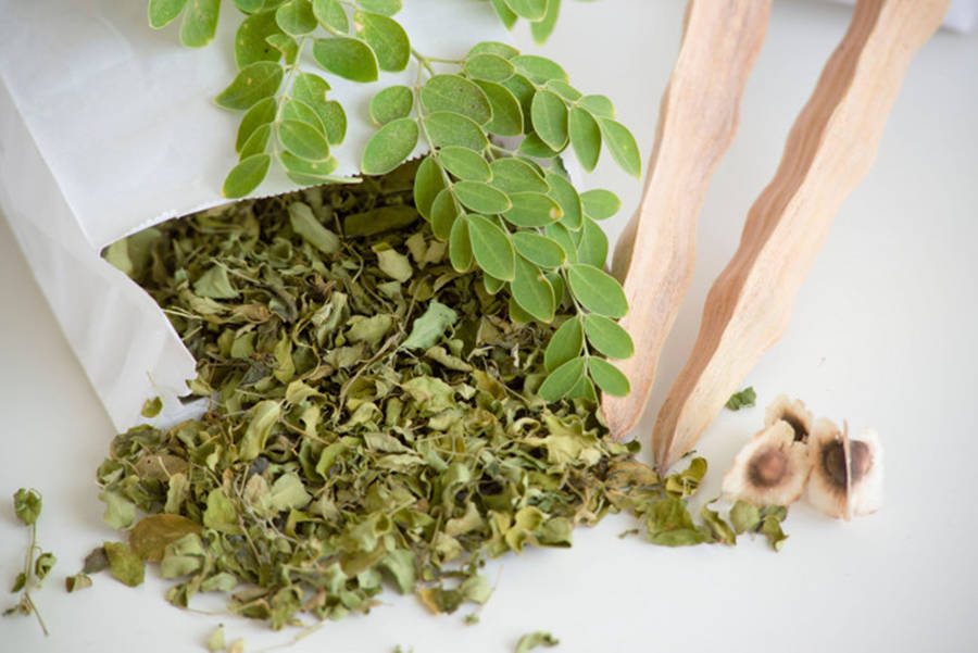 Moringa Fond d'écran