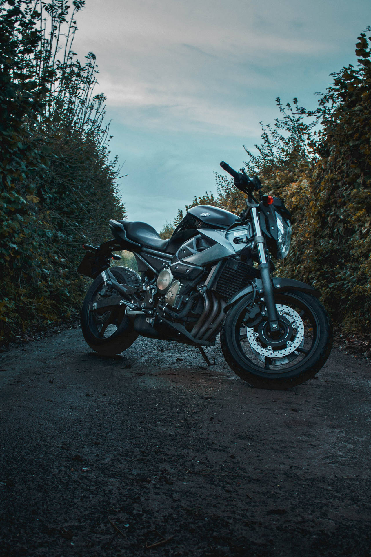 62+ HD Motorcycle Wallpapers: HD, 4K, 5K for PC and Mobile | Download free  images for iPhone, Android