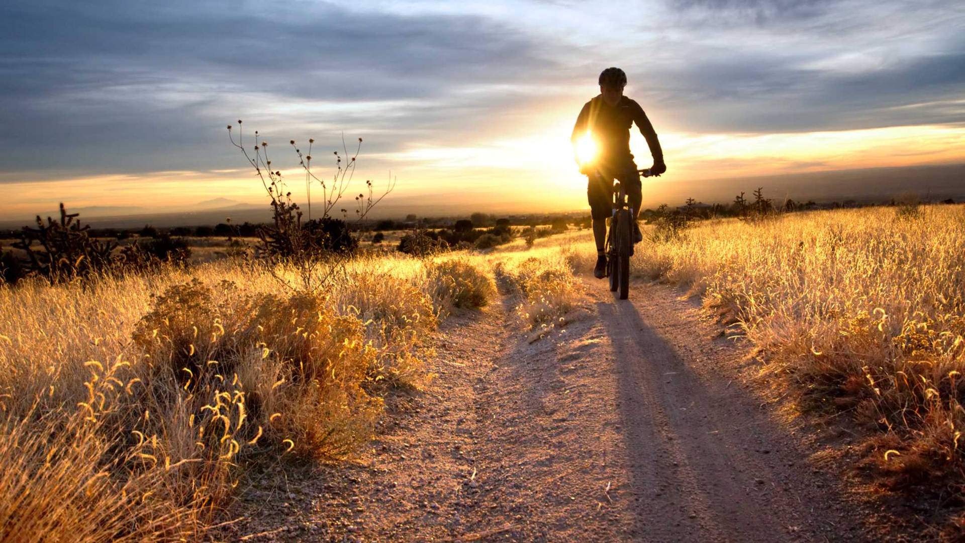 Mountain Biking Achtergrond