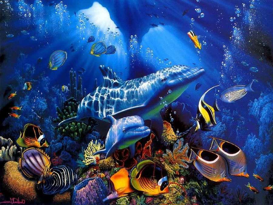 Dolphin swimming among colorful fish and coral in a sunlit underwater scene. — Moving Underwater Wallpaper