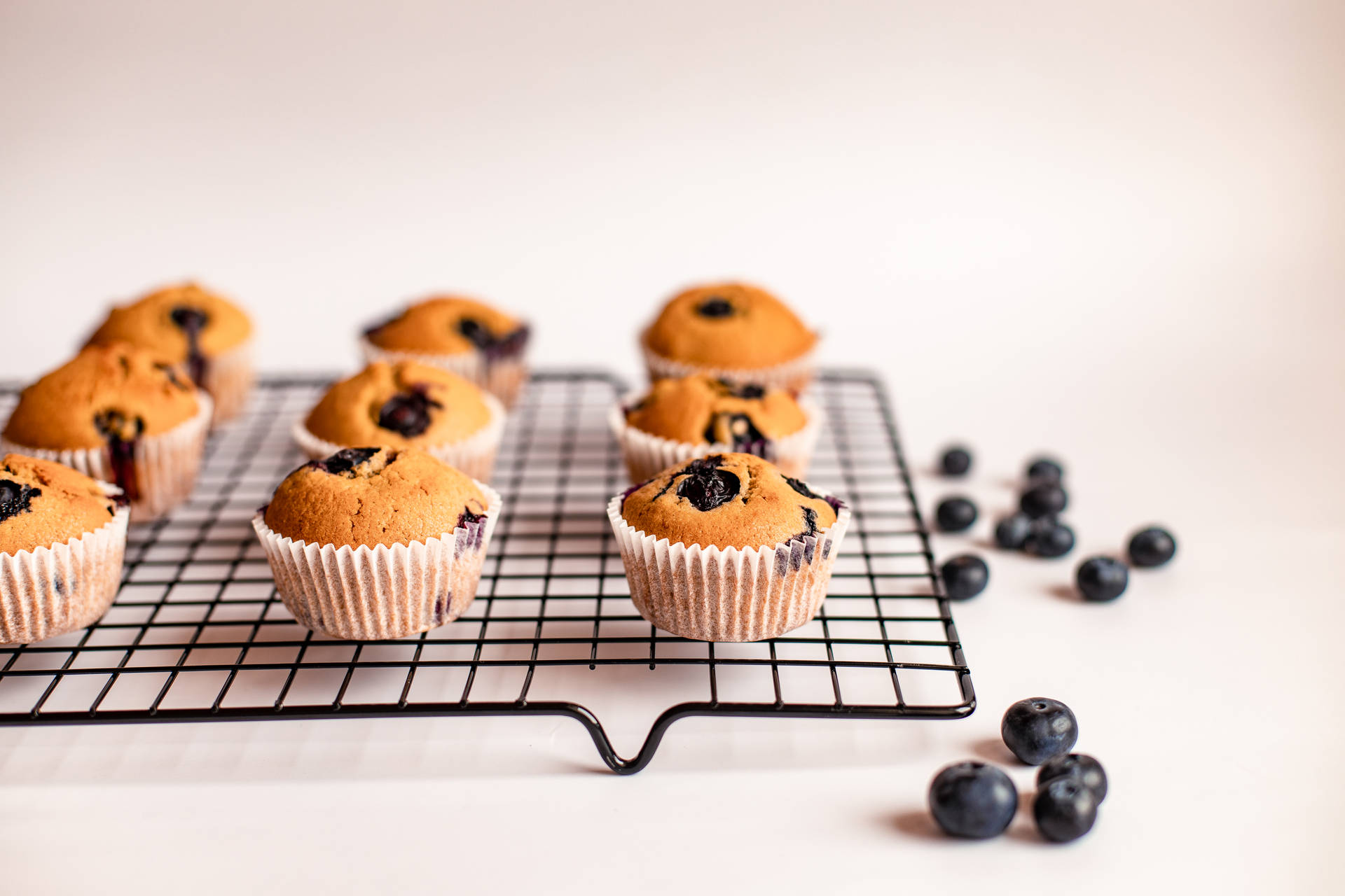 Muffin Wallpaper Images