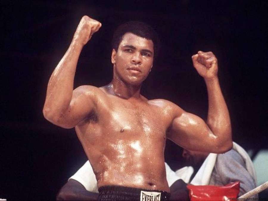 Boxer raises fists in victory pose inside ring — Muhammad Background