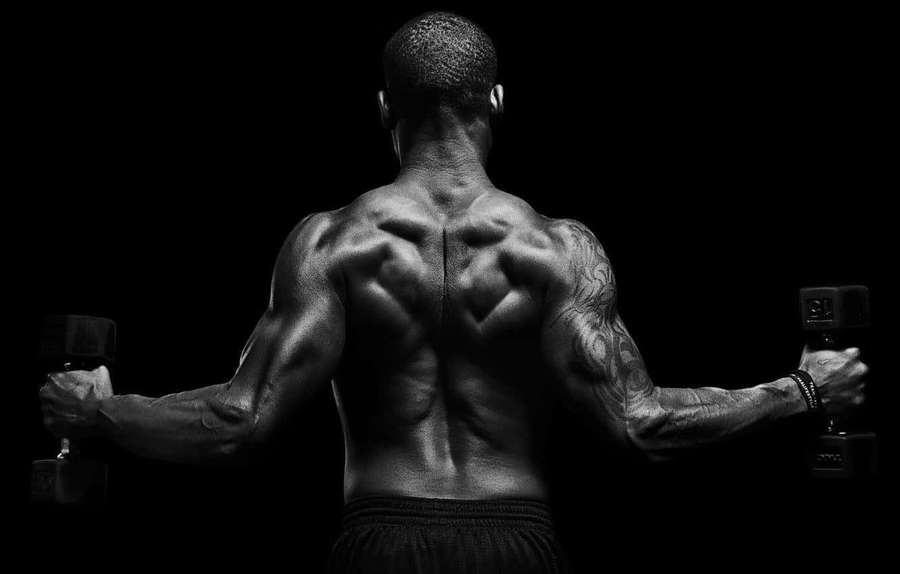 Ein muskulöser Mann hebt Hanteln mit dem Rücken zur Kamera in einem Schwarz-Weiß-Foto. — Muscle Wallpaper
