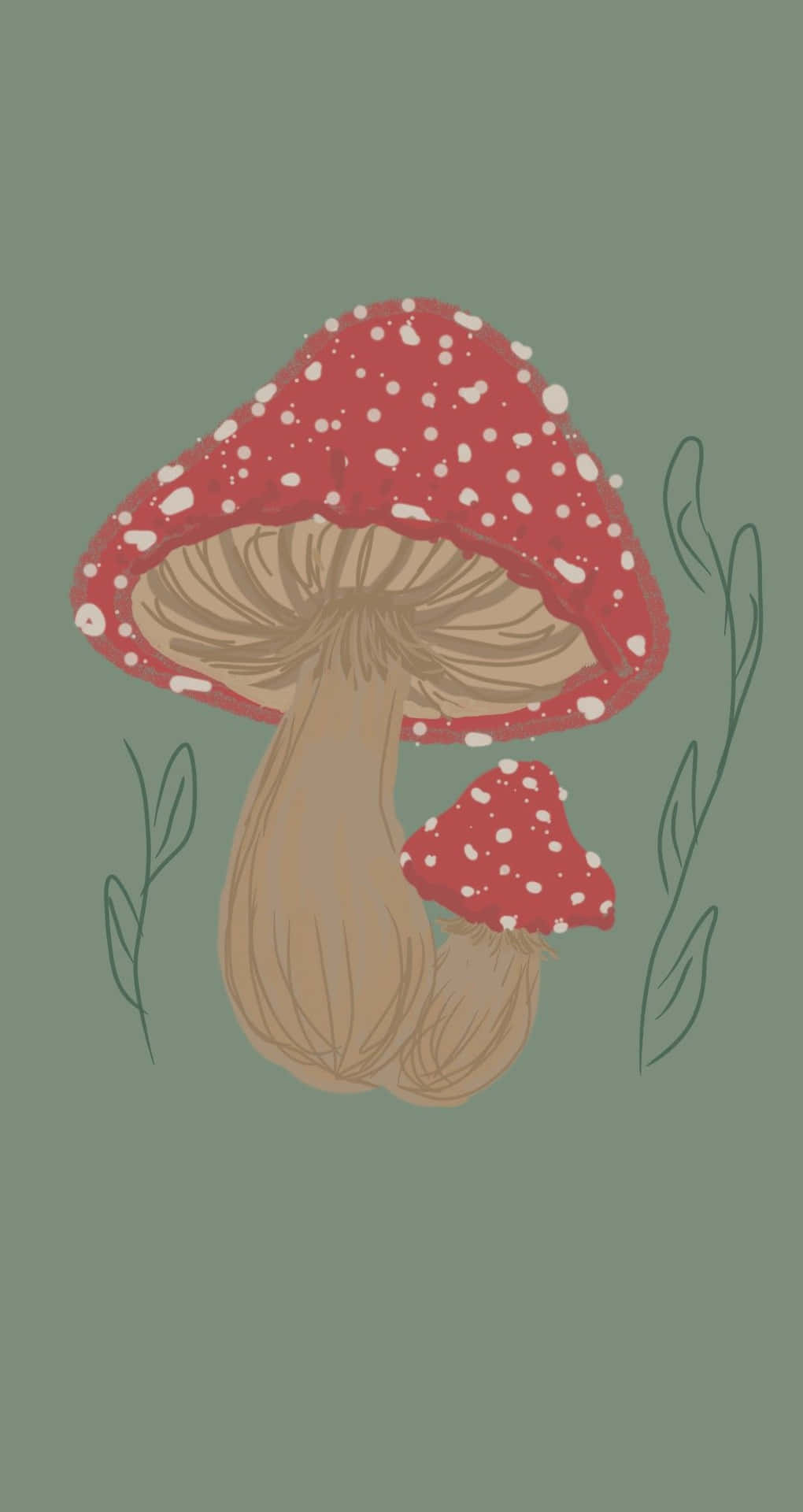 Mushroom Phone Background Wallpaper