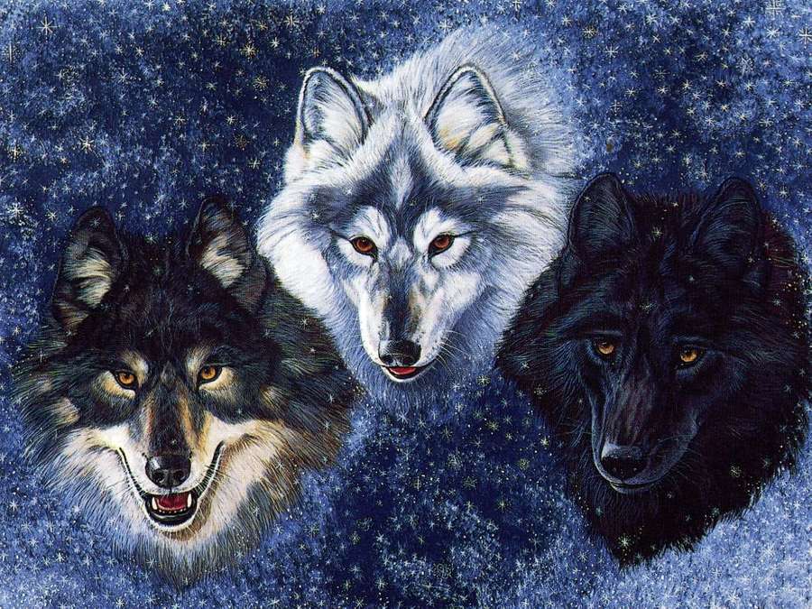 Three wolves with glowing eyes against a starry night sky. — Mystical Wolf Background