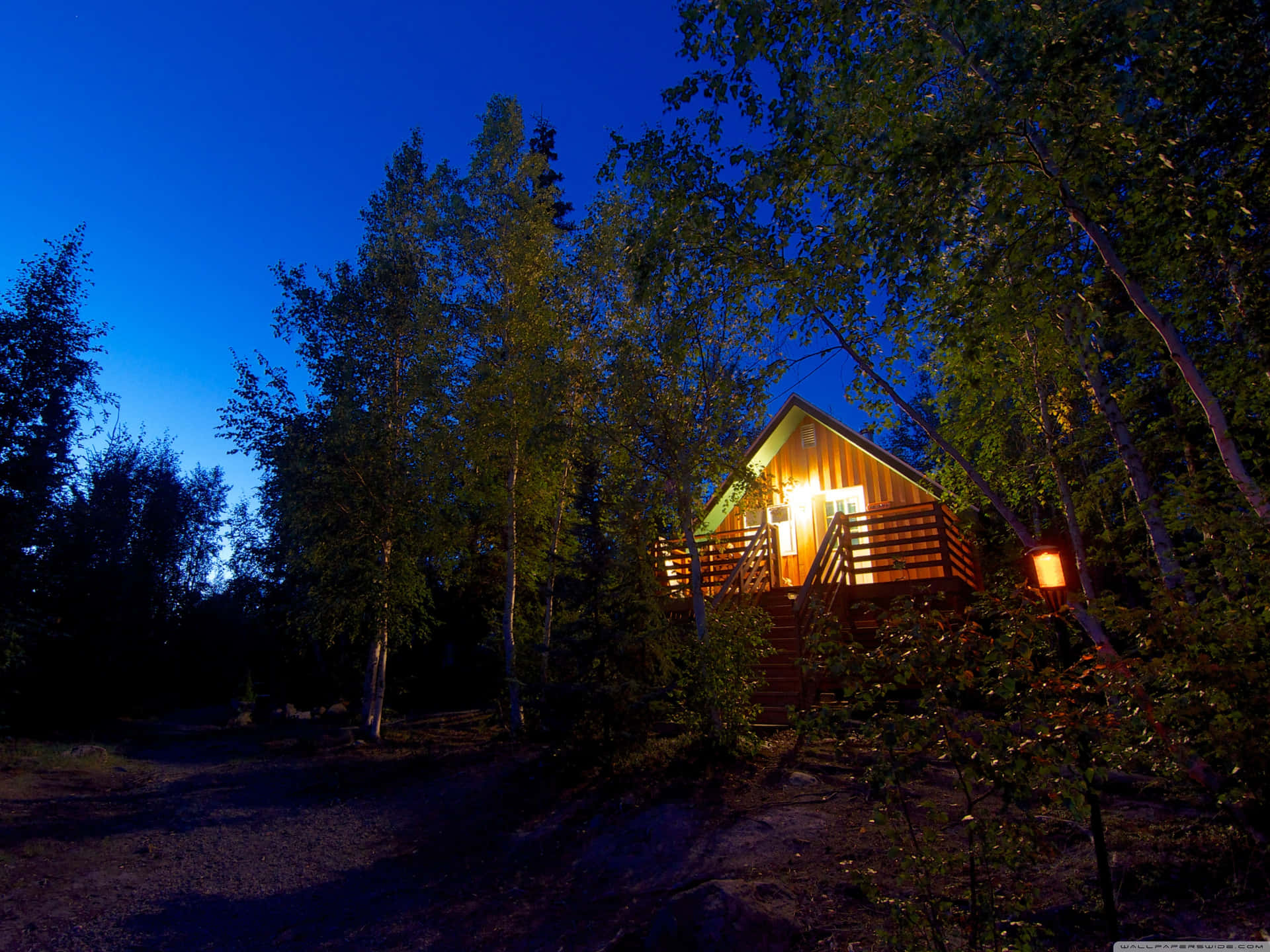 Nacht In De Bossen Achtergrond