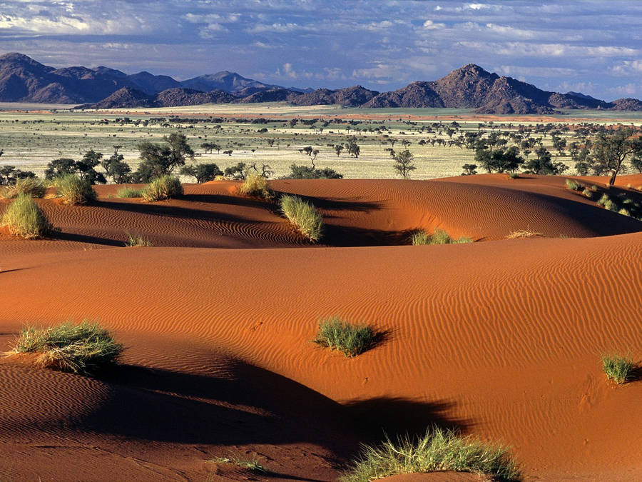 Namibia Hintergrund