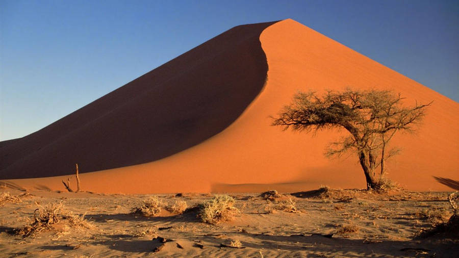 Namibia Wallpaper