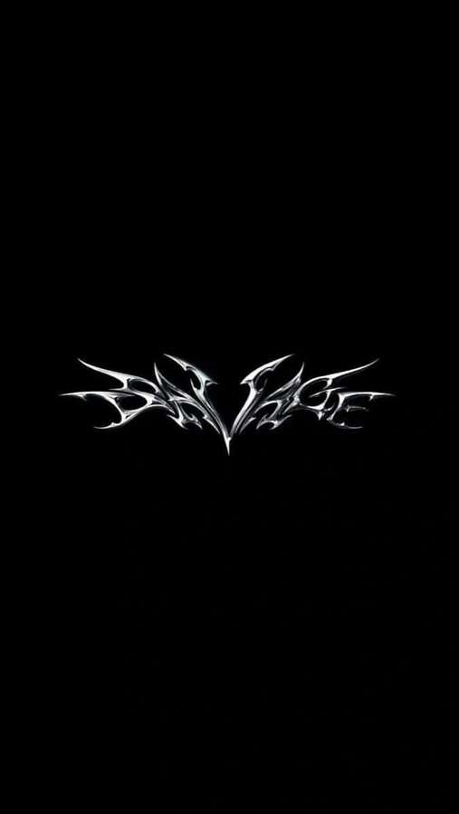 Logotipo plateado brillante similar a un murciélago sobre fondo negro — Negro Y2k Fondos de pantalla