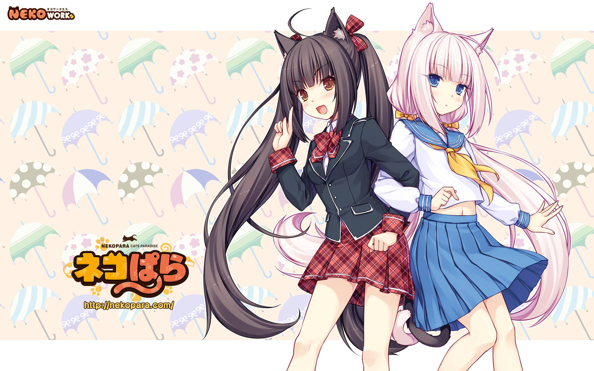 Nekopara Achtergrond