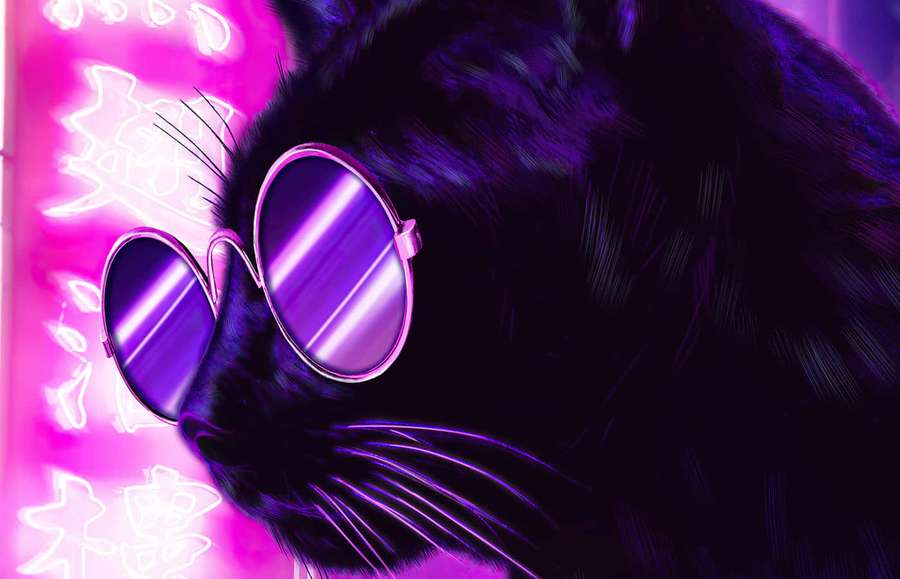 Schwarze Katze mit Sonnenbrille unter Neonlichtern mit glühenden chinesischen Schriftzeichen. — Neon Pets Wallpaper